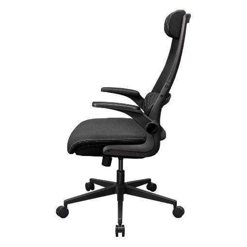 Εικόνα της Gaming Chair Cougar Stryder Black 3MSTDBLB.0001