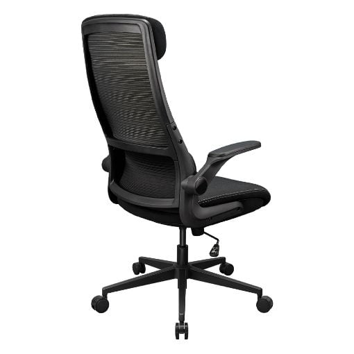 Εικόνα της Gaming Chair Cougar Stryder Black 3MSTDBLB.0001