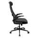 Εικόνα της Gaming Chair Cougar Stryder Black 3MSTDBLB.0001