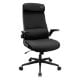 Εικόνα της Gaming Chair Cougar Stryder Black 3MSTDBLB.0001