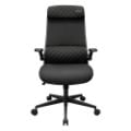 Εικόνα της Gaming Chair Cougar Stryder Black 3MSTDBLB.0001