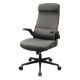 Εικόνα της Gaming Chair Cougar Stryder Gray 3MSTDGRB.0001