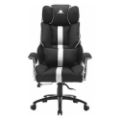 Εικόνα της Gaming Chair White Shark Le Mans Black/White