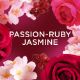Εικόνα της Μαλακτικό Ρούχων Lenor Jasmine & Rose 87 Μεζούρες