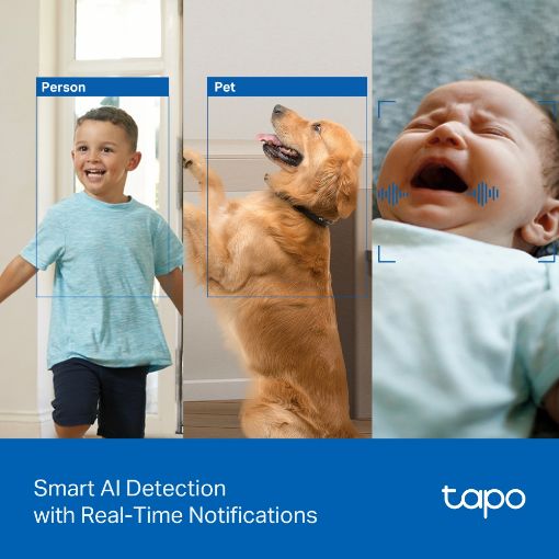 Εικόνα της Indoor Wireless IP Camera TP-Link Tapo C250 4K Pan/Tilt
