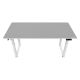 Εικόνα της Gaming Desk Cougar E-Grav 160 με Ρυθμιζόμενο Ύψος 160 x 75 x 73-118 cm Λευκό 3MGRV4WW.0001