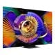 Εικόνα της Τηλεόραση TCL 65C7L 65" 4K UHD SQD-Mini LED Google TV HDR 144Hz
