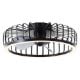 Εικόνα της Ανεμιστήρας Οροφής Brilliant Capo 48cm με LED Φωτισμό 2700-6500K & Τηλεχειριστήριο 36W Black G80920/06