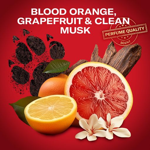 Εικόνα της Αποσμητικό Stick Old Spice Tiger Claw 50ml