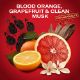 Εικόνα της Αποσμητικό Stick Old Spice Tiger Claw 50ml