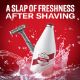 Εικόνα της After Shave Lotion Old Spice Original 100ml