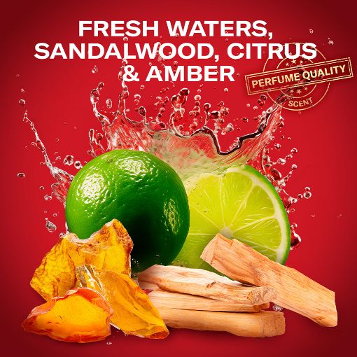 Εικόνα της Αποσμητικό Stick Old Spice Whitewater 50ml