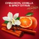 Εικόνα της Αποσμητικό Stick Old Spice Original 50ml