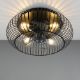 Εικόνα της Ανεμιστήρας Οροφής Trio Lighting Johanna 61cm με Φωτισμό E27 & Τηλεχειριστήριο Black R66884032