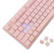 Εικόνα της Πληκτρολόγιο White Shark Tachi Full LED (US) Pink GK-003441