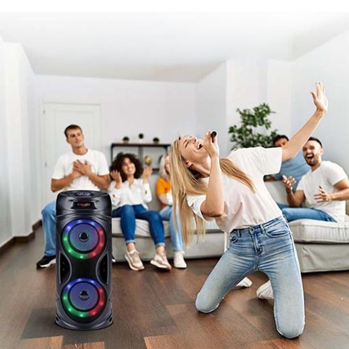 Εικόνα της Ηχείο ProCable Karaoke Bluetooth 10W RGB Black 871125225650