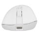 Εικόνα της Ποντίκι Genesis Zircon 880 Pro Wireless White NMG-2382