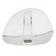 Εικόνα της Ποντίκι Genesis Zircon 880 Wireless White NMG-2380