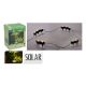 Εικόνα της Ηλιακό Φωτιστικό Δέντρου Progarden 12 LED Warm White 130 x 15 x 55 mm 4τμχ Black DX9954000