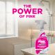 Εικόνα της Καθαριστικό Spray Μπάνιου The Pink Stuff Platinum 750ml