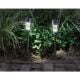 Εικόνα της Ηλιακό Καρφωτό Φωτιστικό Κήπου Lumineo Warm White 4.5x24 cm Silver 894537