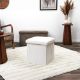Εικόνα της Σκαμπό Home Deco Factory Scott Πτυσσόμενο με Αποθηκευτικό Χώρο 38x38x38cm White HD0276